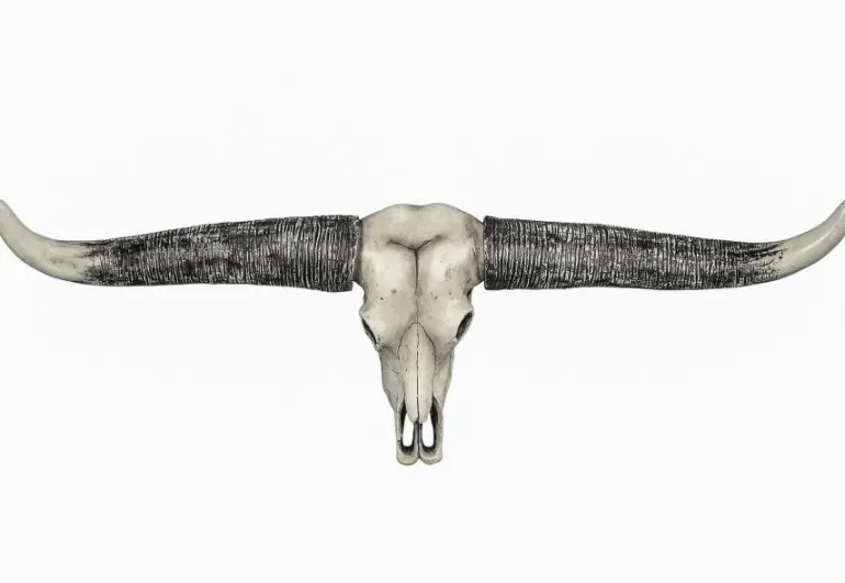 Widehorn trofæ i polystone - 84cm
